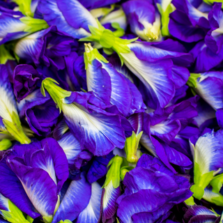 Butterfly Pea Flower