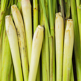 Lemongrass
